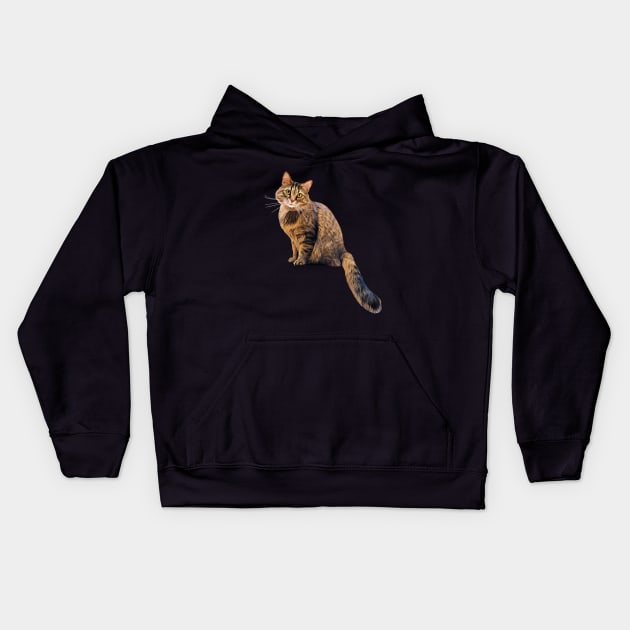 Kitty Sitting Pretty Kids Hoodie by RockettGraph1cs